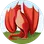 Profilbild von Leon M.