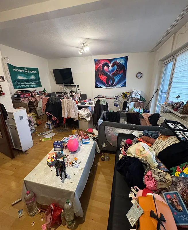 Zimmer, Messiewohnung, vorher