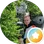 Profilbild von Paul B.